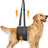 Black denim rear leg support harness for senior dogs, product image 1