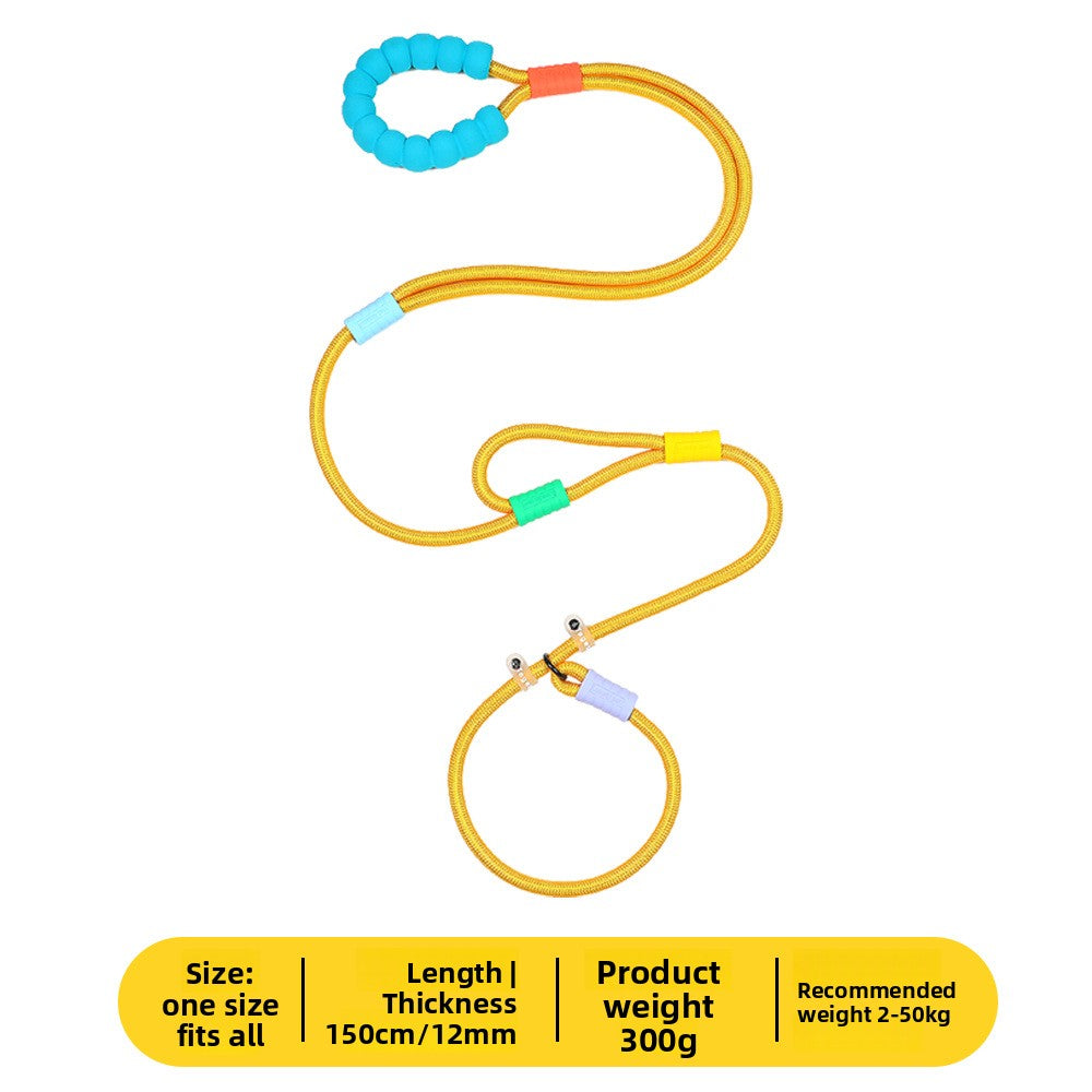Bright nylon dog lead in vivid colour, product image 26