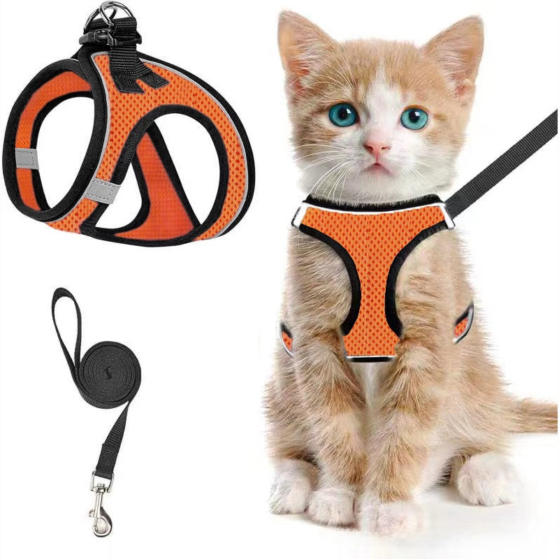 Mesh harnesses for cats and small dogs in eleven colours