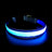 LED light up dog collar with breakaway buckle in Red, front view