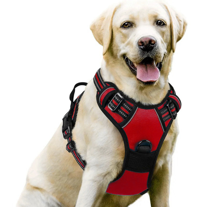 No-pull soft padded dog harness, available from Pet Royale UK