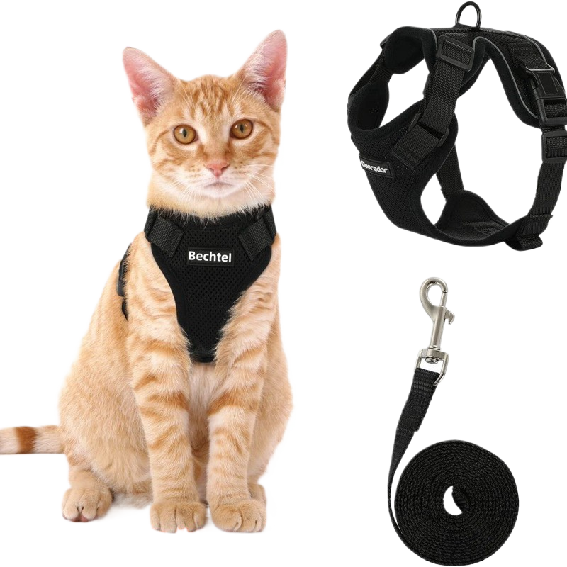 Reflective vest harness with adjustable lead in 5 colour options