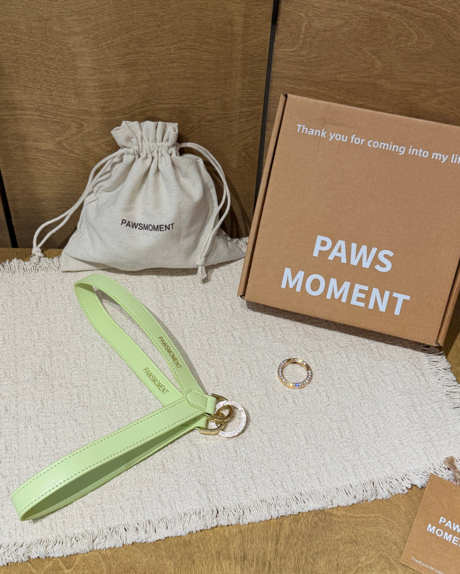 Reversible V-shape pet travel harness, available from Pet Royale UK