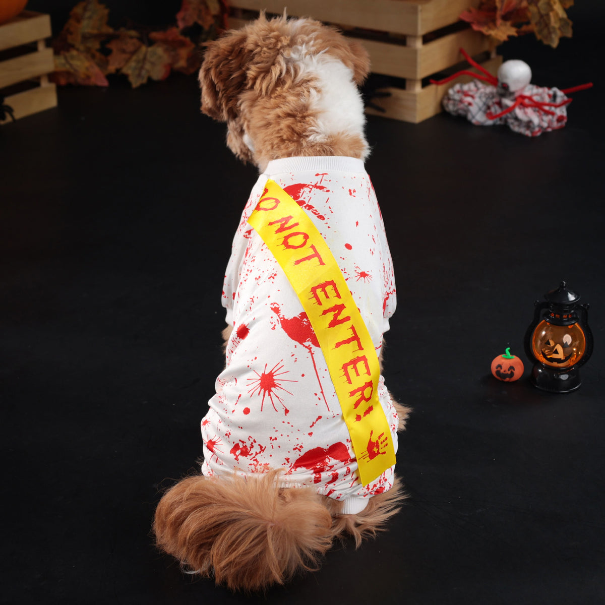 Four leg suit and skirt styles of a spooky pet costume