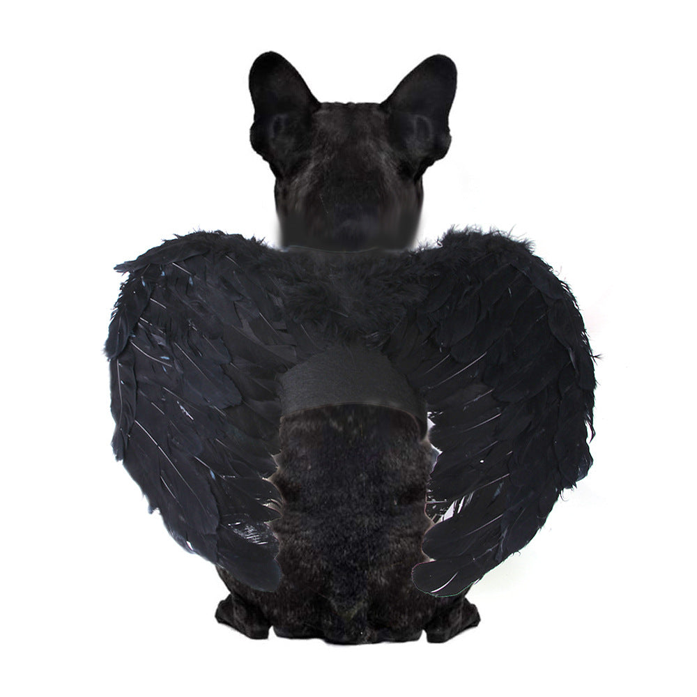 Angel wings costume for cats and small dogs, available in 4 styles, image 5
