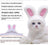 Crochet lion mane hat for dogs and cats, available in 4 styles, image 12