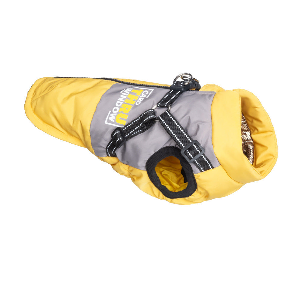 Small dog wearing a grey padded winter gilet