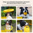 EVA dog training toys pull ring frisbee and ball - photo 2