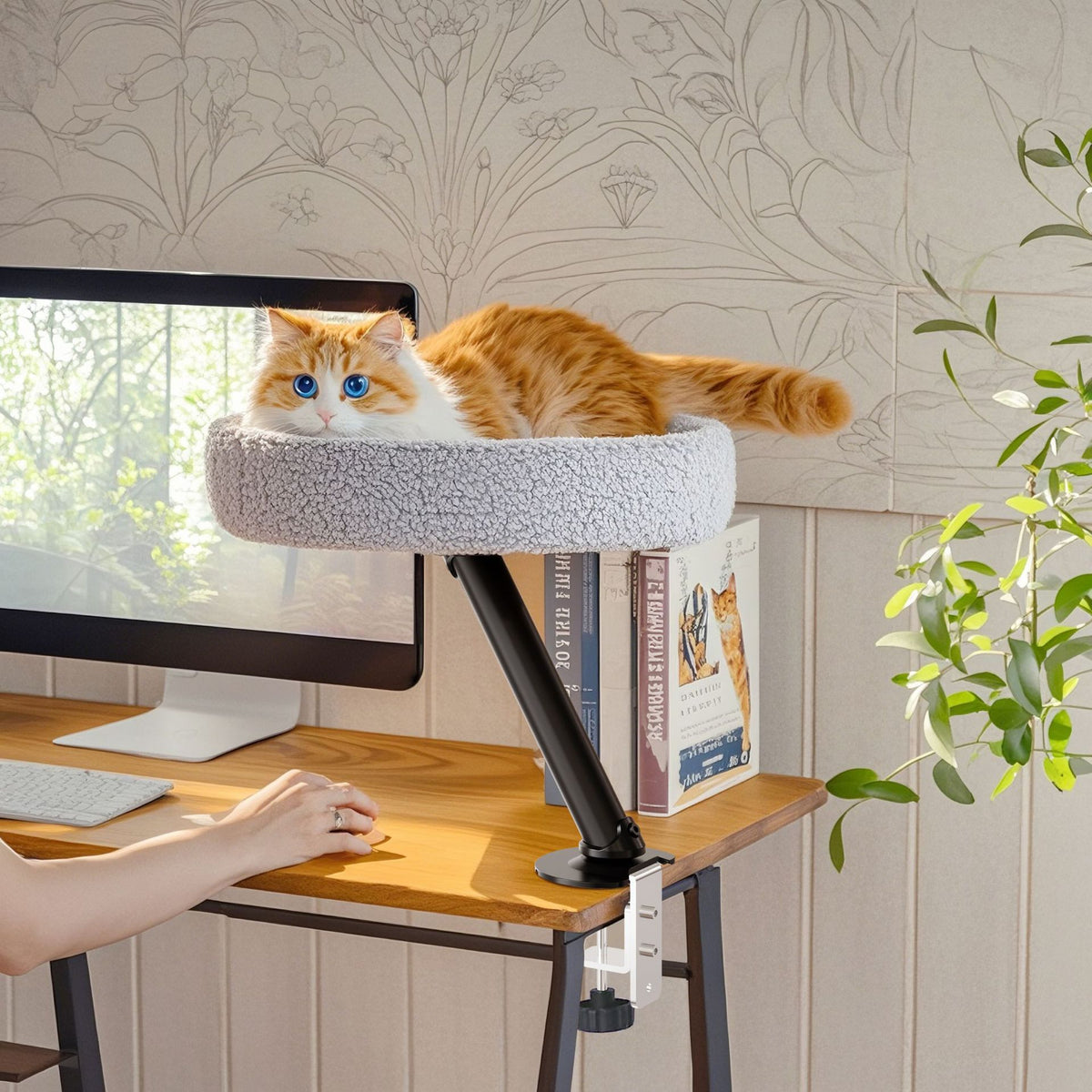 Light grey floating desktop cat bed on black wooden stand, photo 2