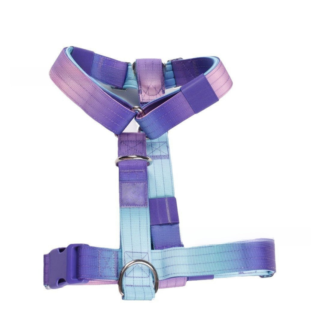 Small dog harness and lead set in bright gradient colours