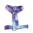Small dog harness and lead set in bright gradient colours
