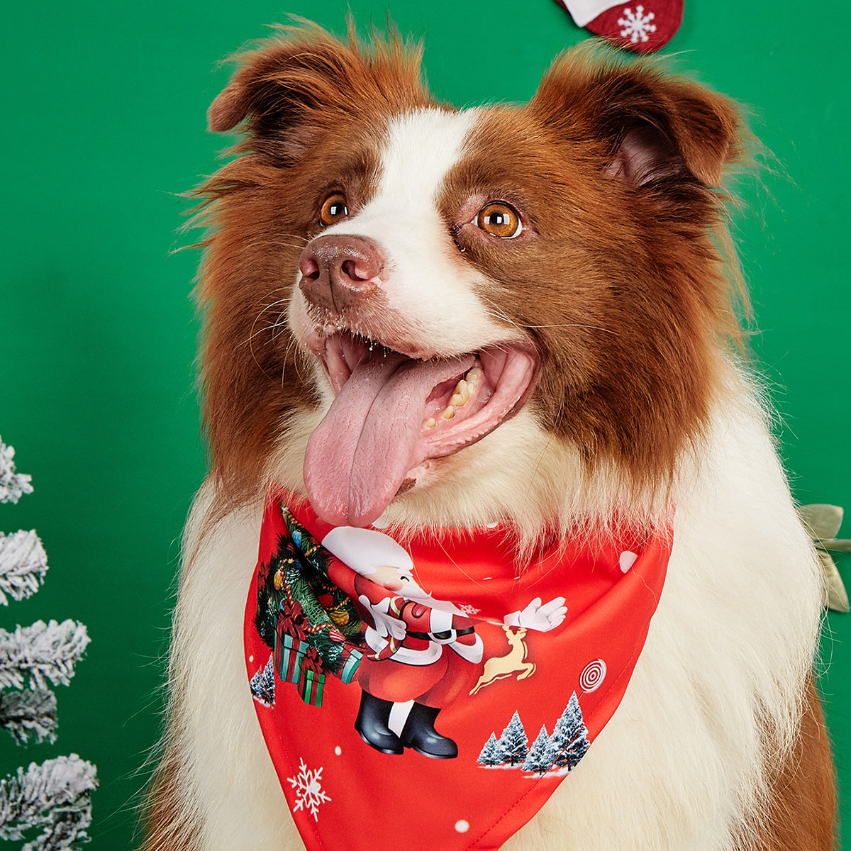 Cartoon print pet bandana for dogs and cats in Design 28, in a home setting