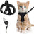 Breathable reflective mesh harness in lake blue on a cat