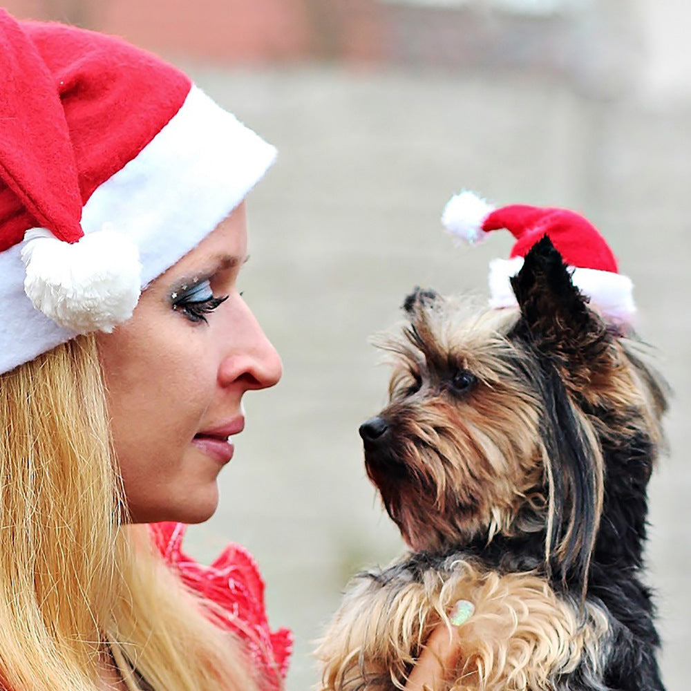 Plush Christmas pet hats in red, plaid and stripes