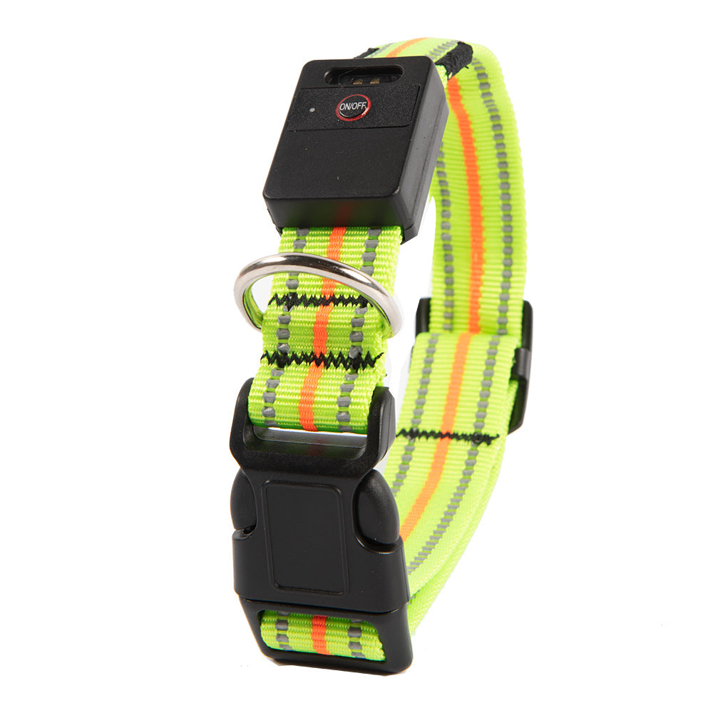 Blue fibre optic LED dog collar glowing on a night walk