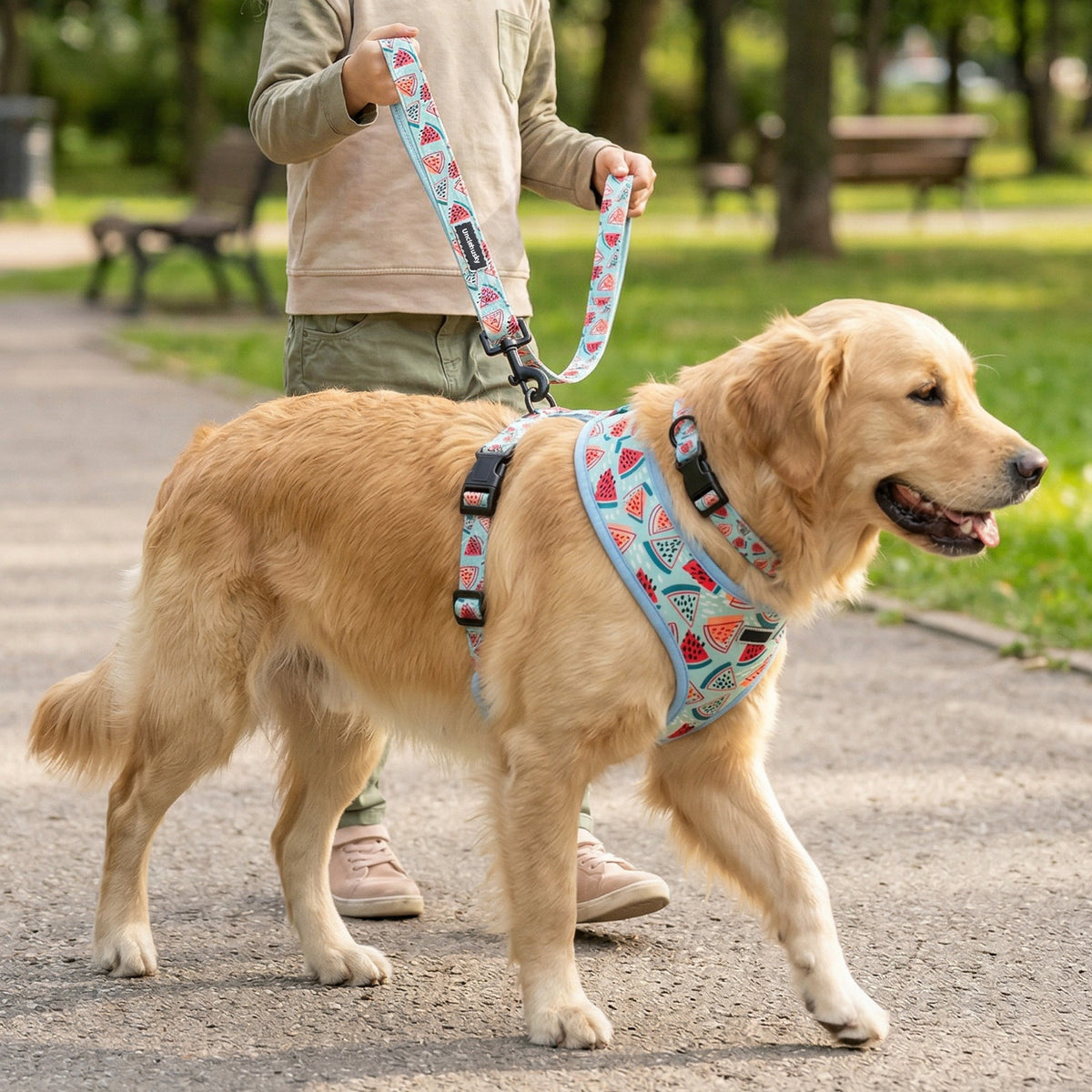 Watermelon print dog harness set with collar, lead, bow and scarf, view 4