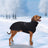 Hooded polar fleece dog jumper, available in 5 colours, sizes Small to 5XL, image 2