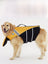 Shark and mermaid dog life jacket, available in 3 styles, image 2