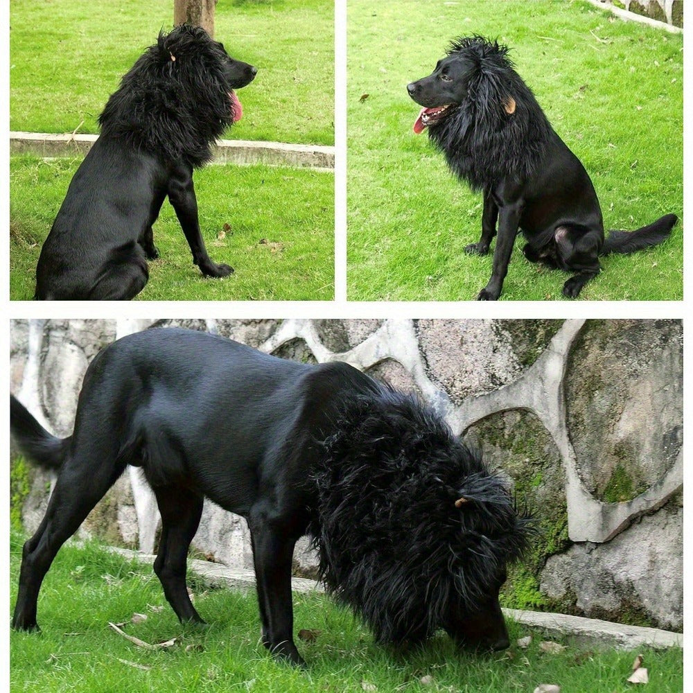 Lion mane wig hat for dogs and cats, available in 3 colours, image 3