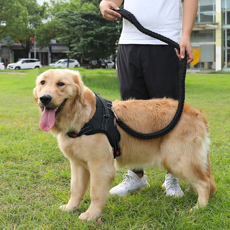 Blue nylon harness for large dogs with braided rope lead