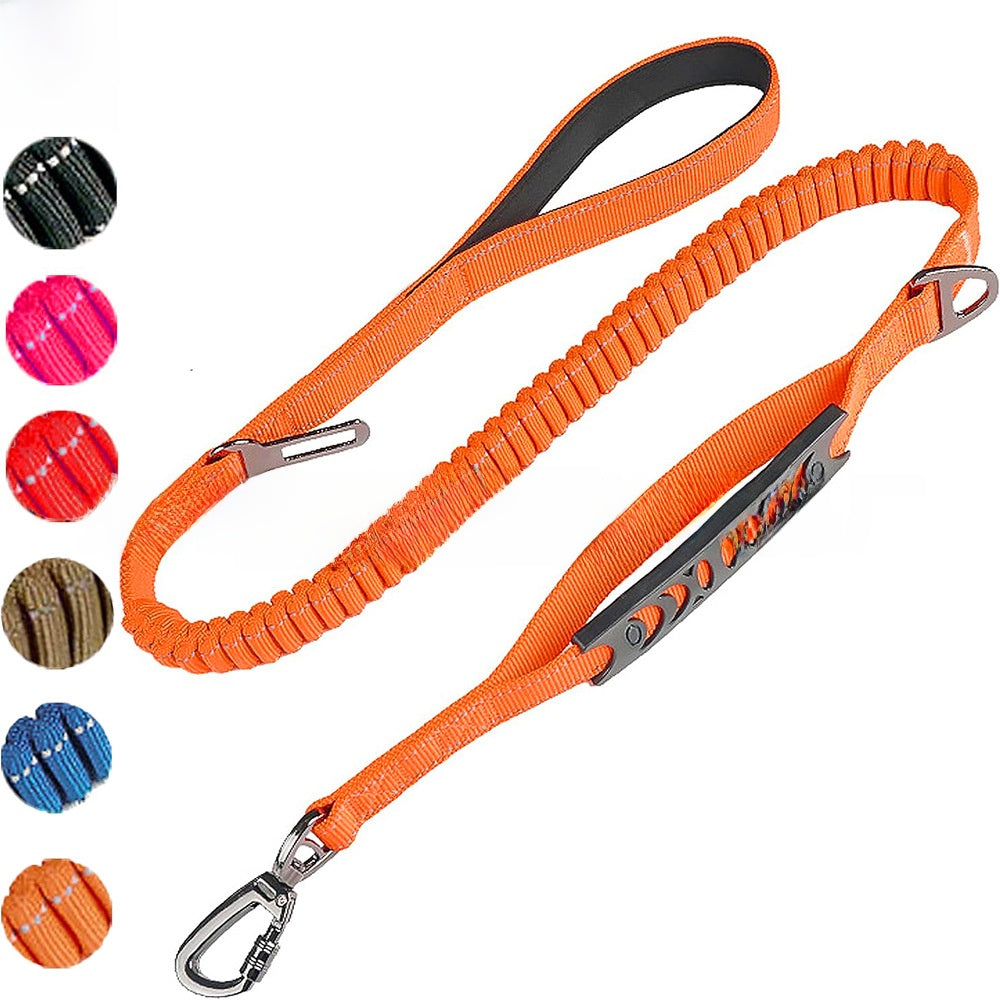 Elastic bungee dog lead, ideal for everyday use