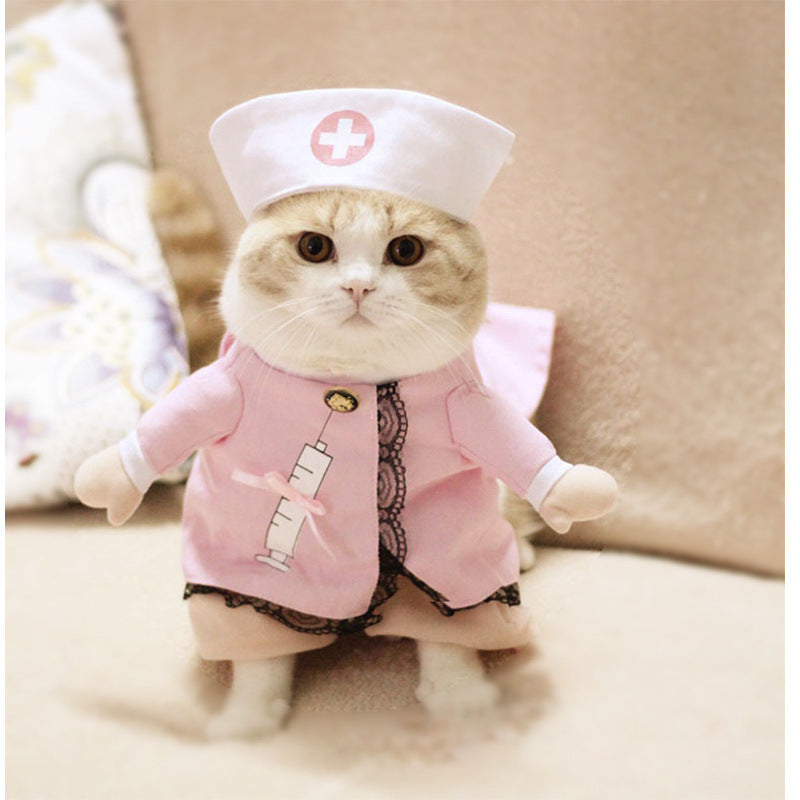 Cat dressed in a funny pumpkin head Halloween costume