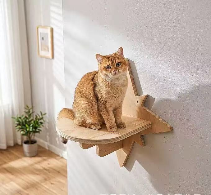 Wooden wall-mounted cat climbing frame with steps, extra detail view