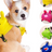 Animal backpack harness for small dogs and cats, 3 sizes available