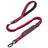 Stretchy bungee dog lead, available from Pet Royale UK
