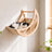 Star and moon cat wall shelves in Moon Bed