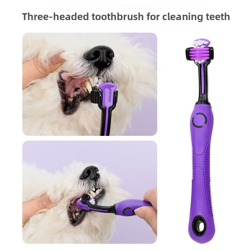 Dog Grooming Scissors and Comb Kit with Carry Case for Home Trims