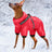 Fleece lined four-leg padded dog coat in Red, close-up detail
