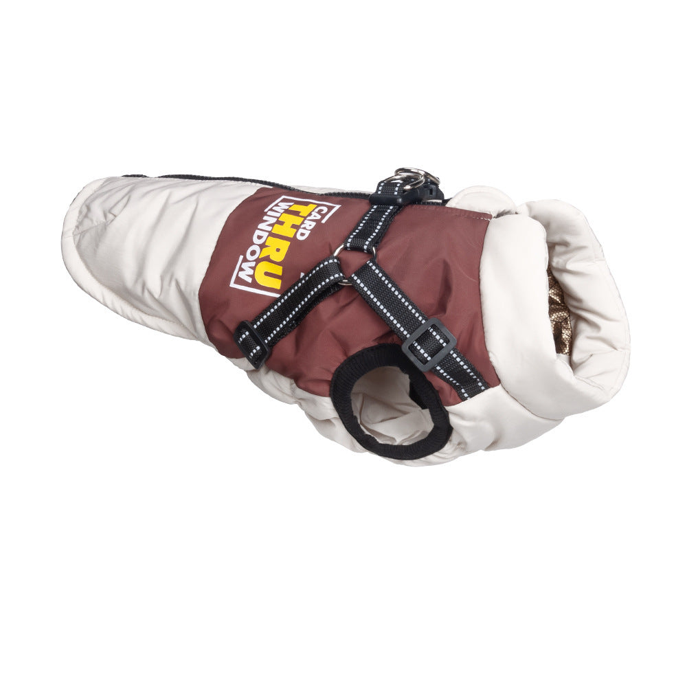 Small dog wearing a grey padded winter gilet