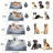 Removable Washable Pet Sofa Bed