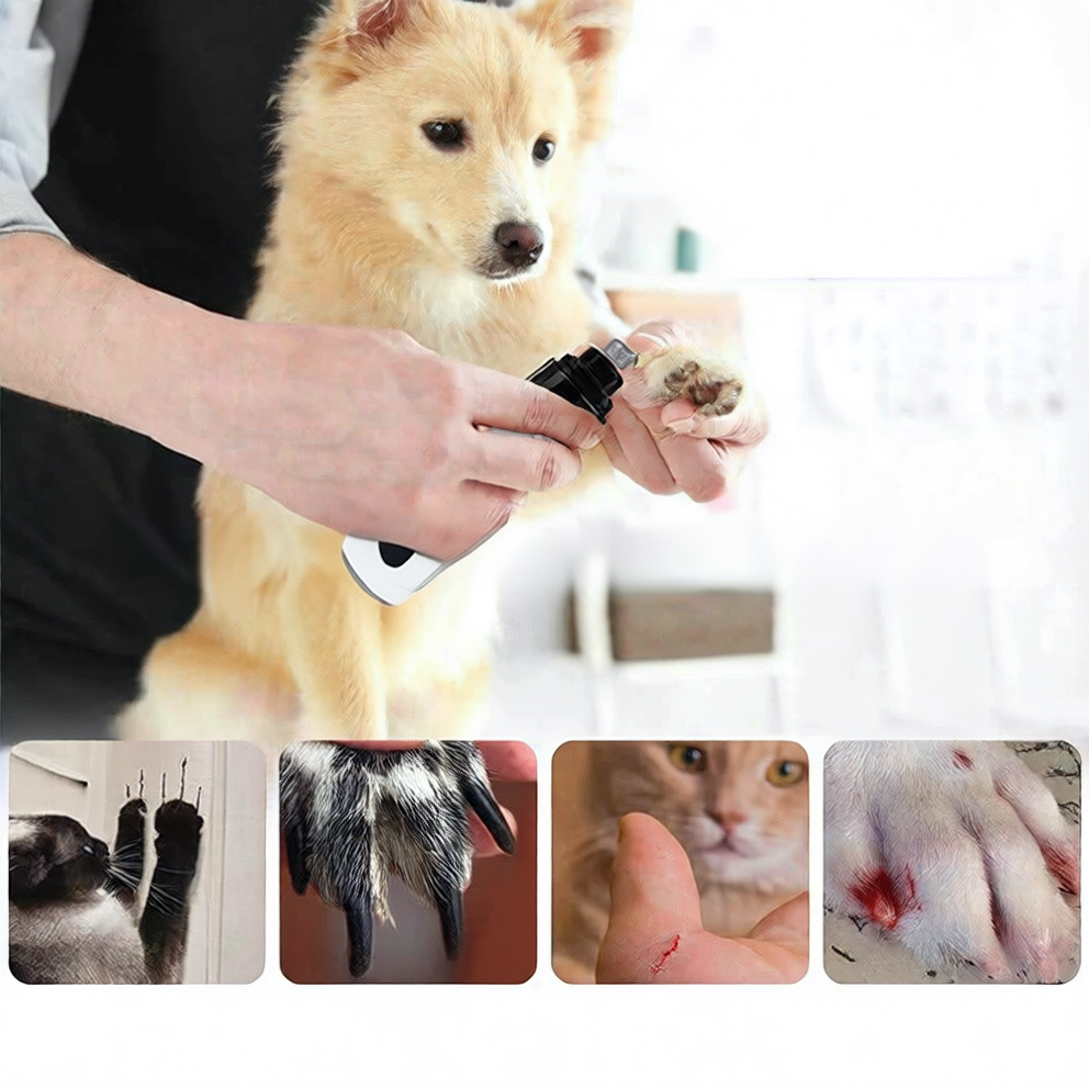 Rechargeable Pet Nail Grinder with LED Light, Low Noise