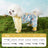 Four leg dog coverall with belly guard, available in 9 styles, image 29