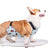 Waterproof dog belly wrap in pink or blue, product image 3