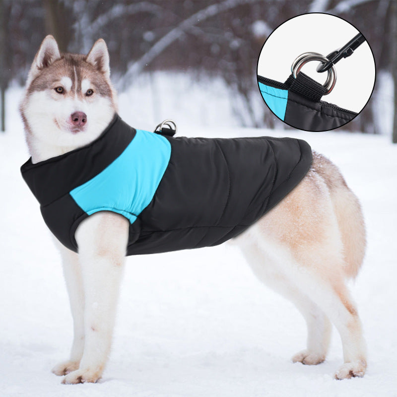 Colour block dog ski vests in blue and red