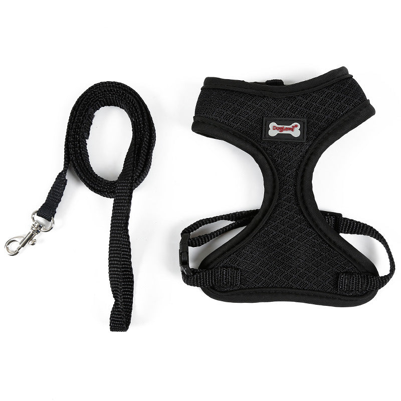 Cat wearing a lightweight mesh harness and 120cm lead