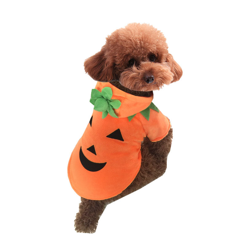 Orange pumpkin pet costume with embroidered smiling face