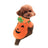 Orange pumpkin pet costume with embroidered smiling face