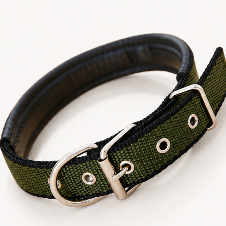 Padded nylon dog collar with foam lining, available from Pet Royale UK