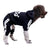 Fleece four-leg dog jumpsuit with button front in Yellow, in use with a pet