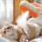 Pet Spray Massage Brush, Anti-Static Mist Comb for Dogs and Cats