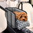 Dog car armrest booster seat with cushion, product image 3