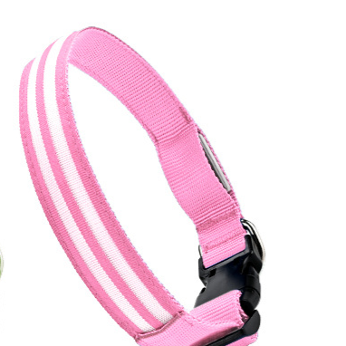 LED light-up dog collar, ideal for night walks