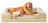 Waterproof dog bed with removable washable cover, photo 15 of 17