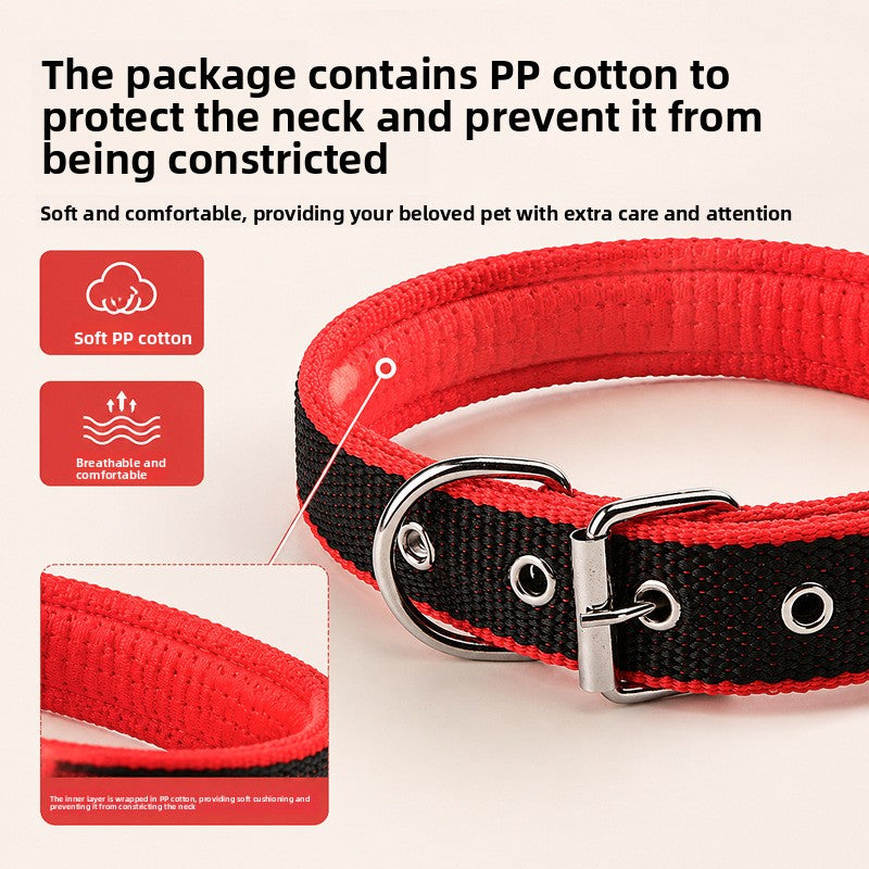Padded nylon dog collar with foam lining, 5 sizes available