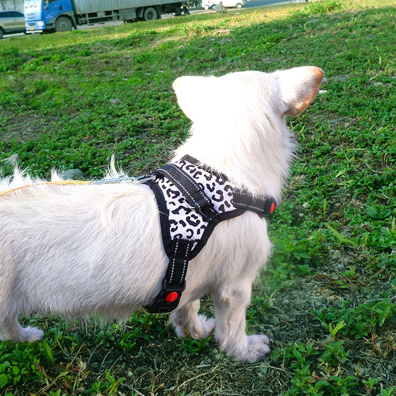 Saddle style padded dog harness in Leopard Saddle, close-up detail