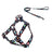 Printed dog collar with star pattern and matching lead